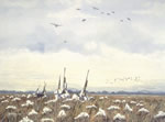 Fooled Again - Goose Hunting Art Print by Les McDonald, Jr.